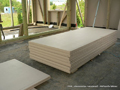 Ecological building material